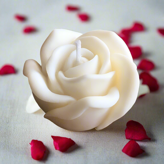 Eternal Bloom Rose